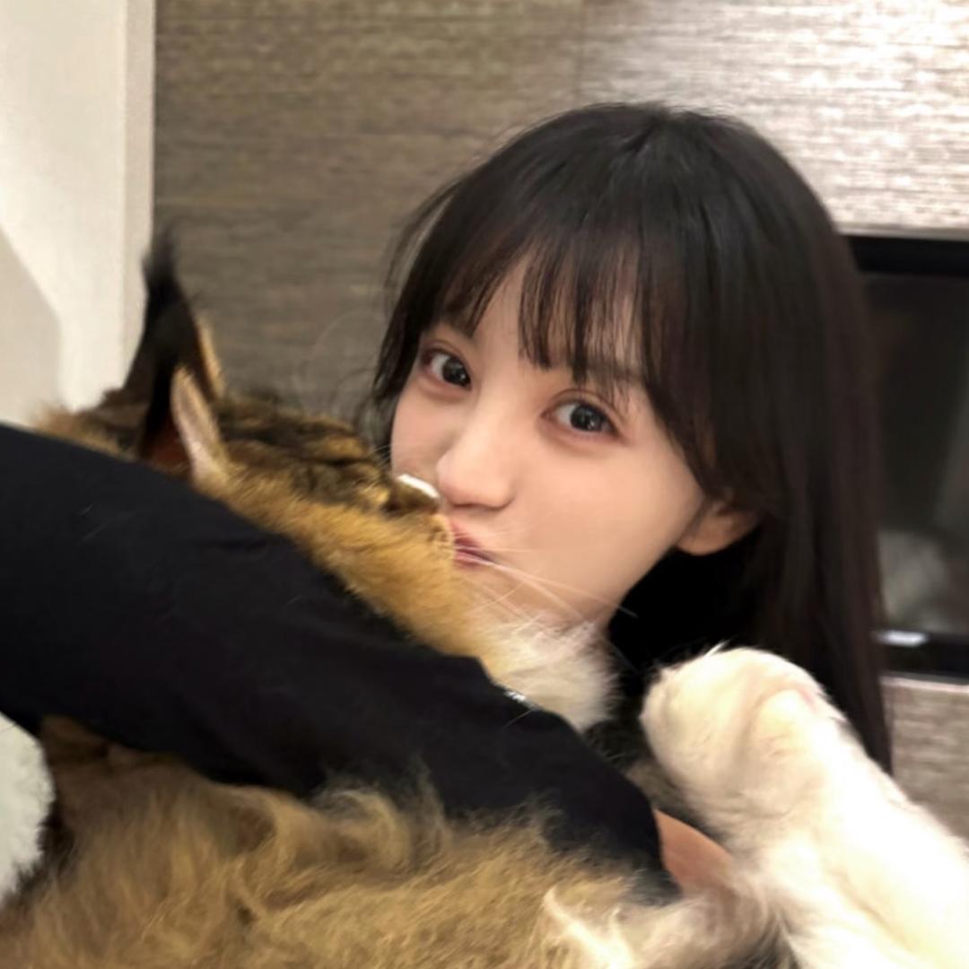拜拜