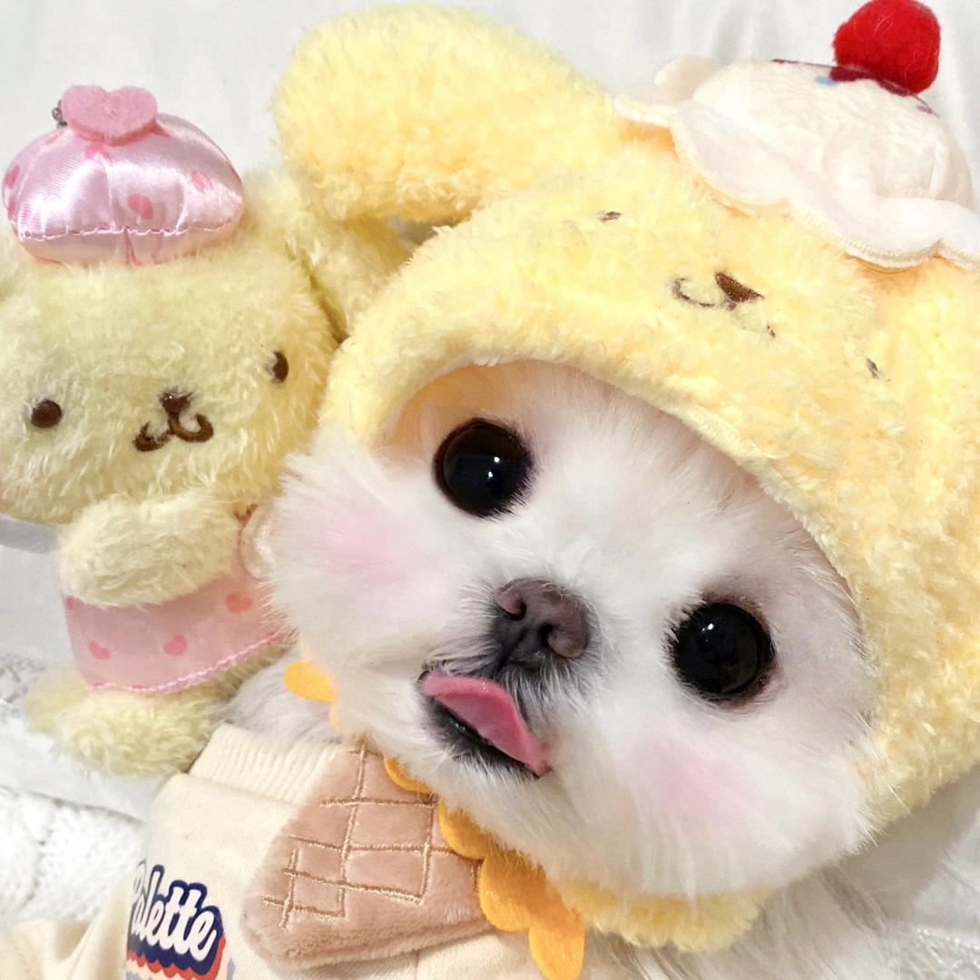💛秋天💛