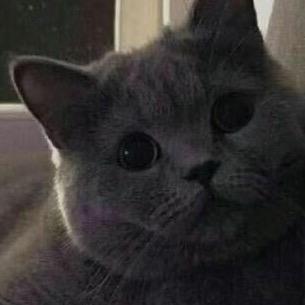 海口各大酒吧圈层