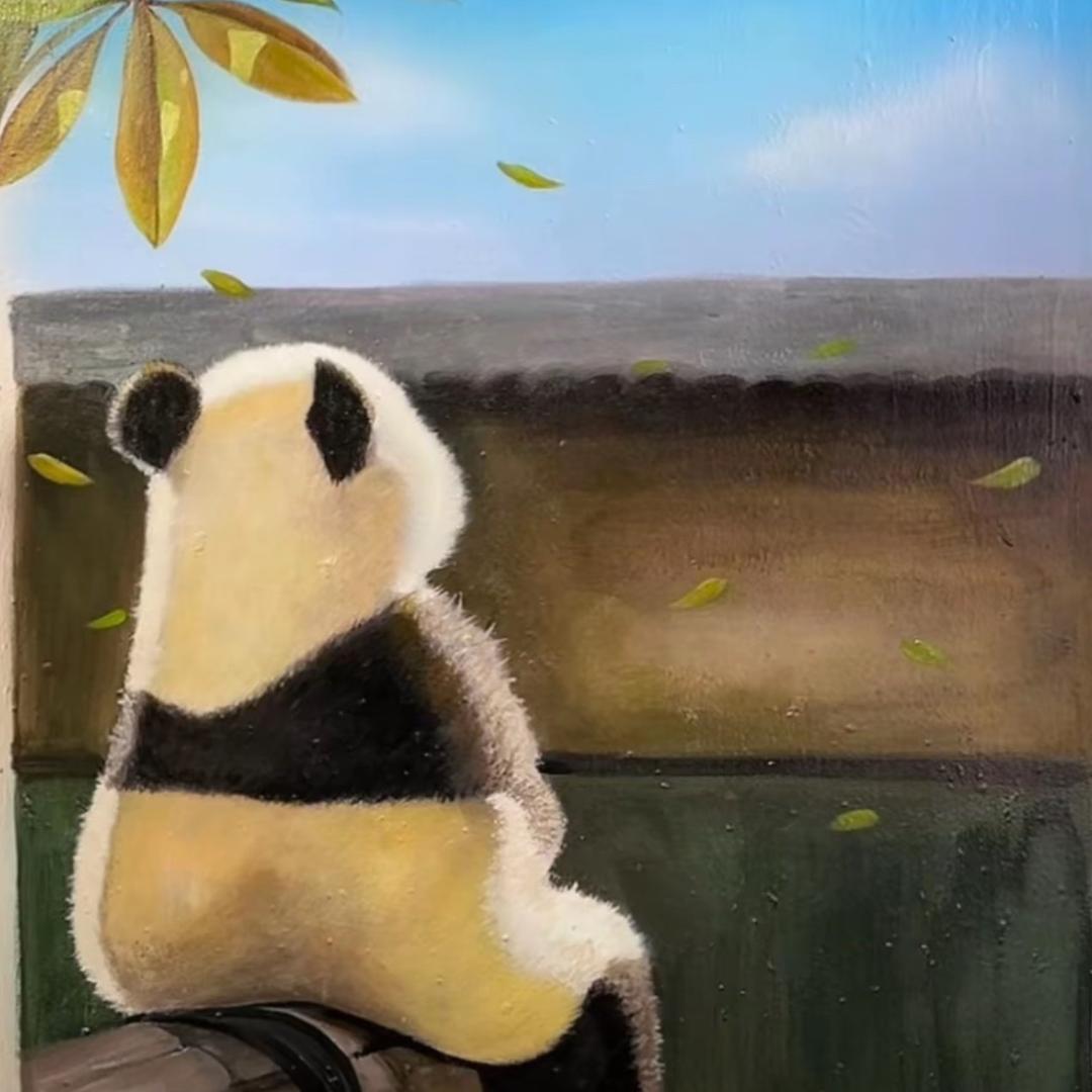 缘来是妮