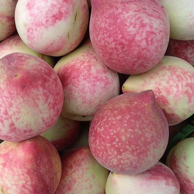 贵州深山里农味