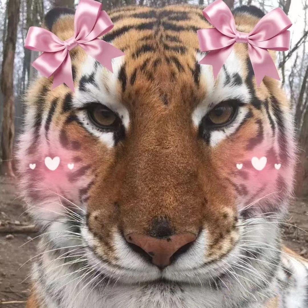 飒
