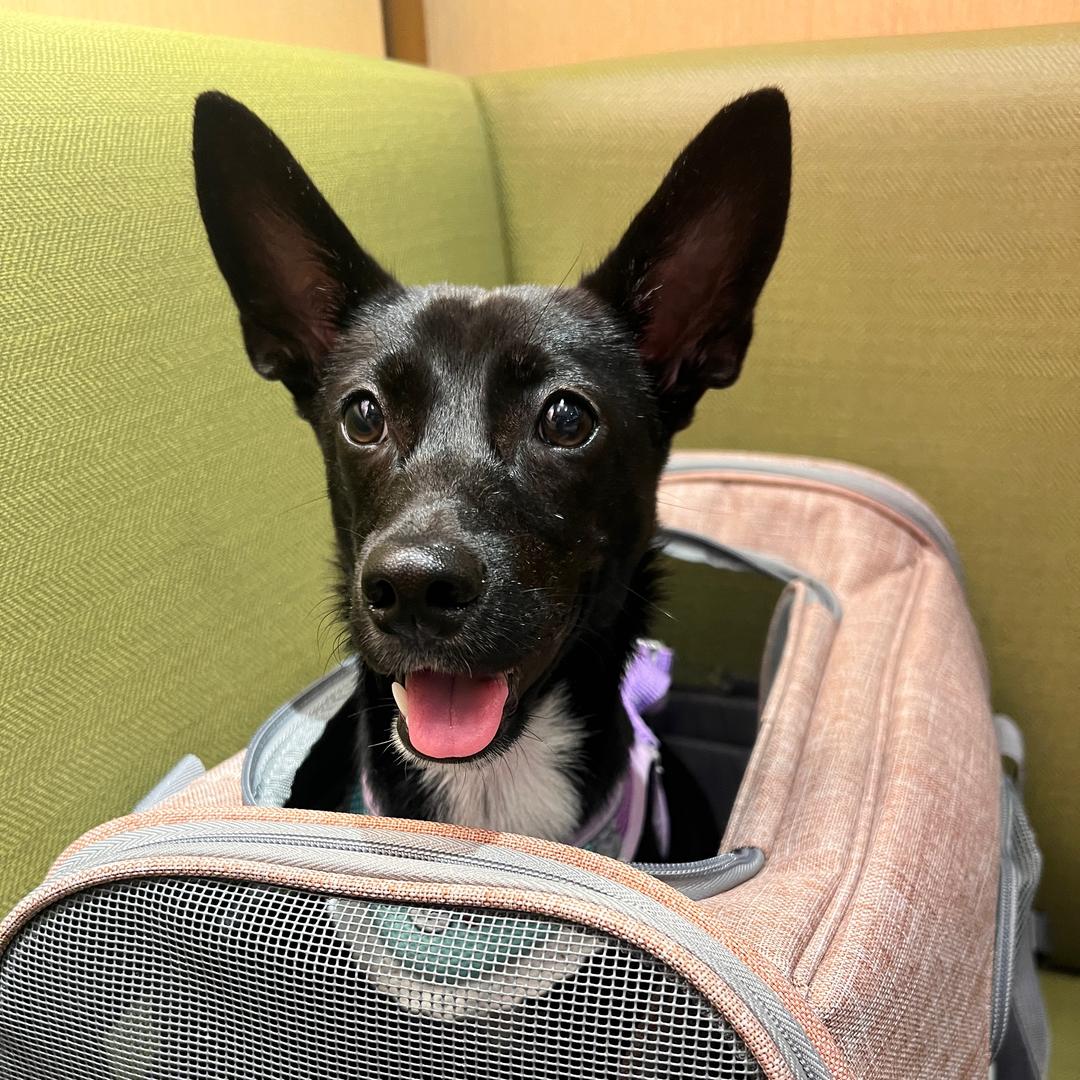 滴滴答答吉林路