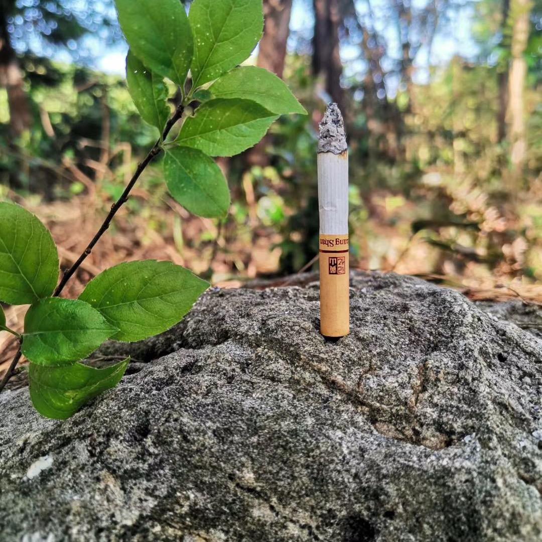 🌱《高压锅中人》🌱