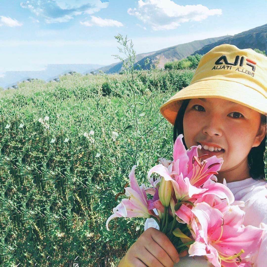 岷县当归黄芪灯儿