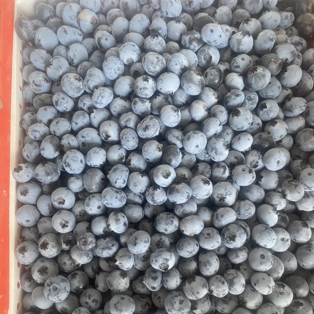 杨小福生鲜水果