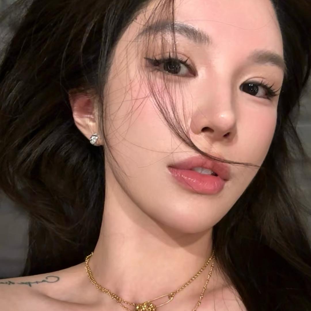 齐柏林的飞艇