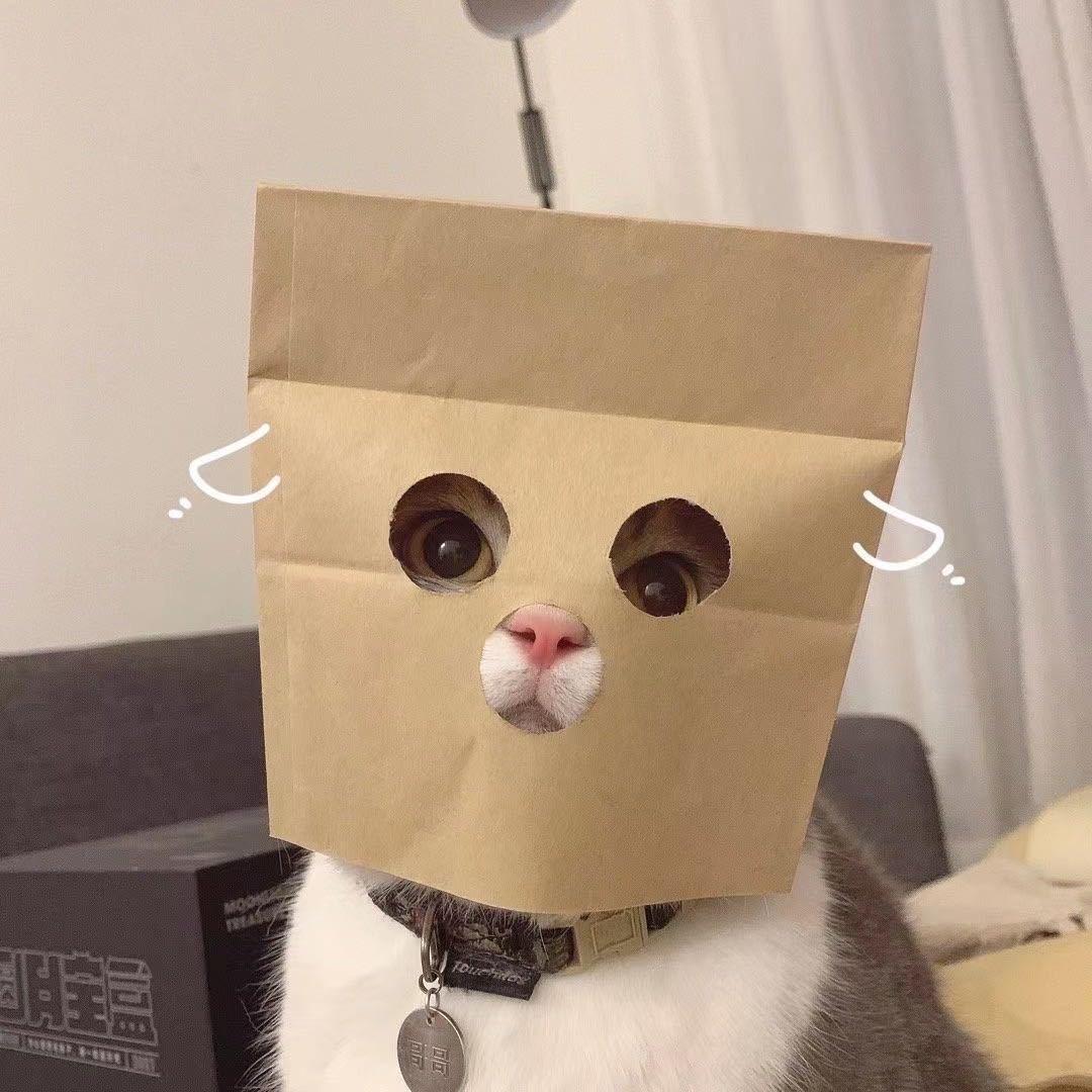 BooooJ