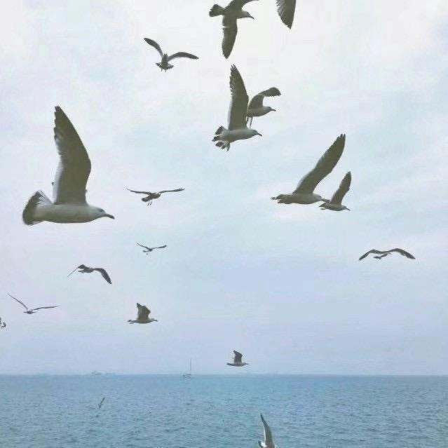 风汇健身
