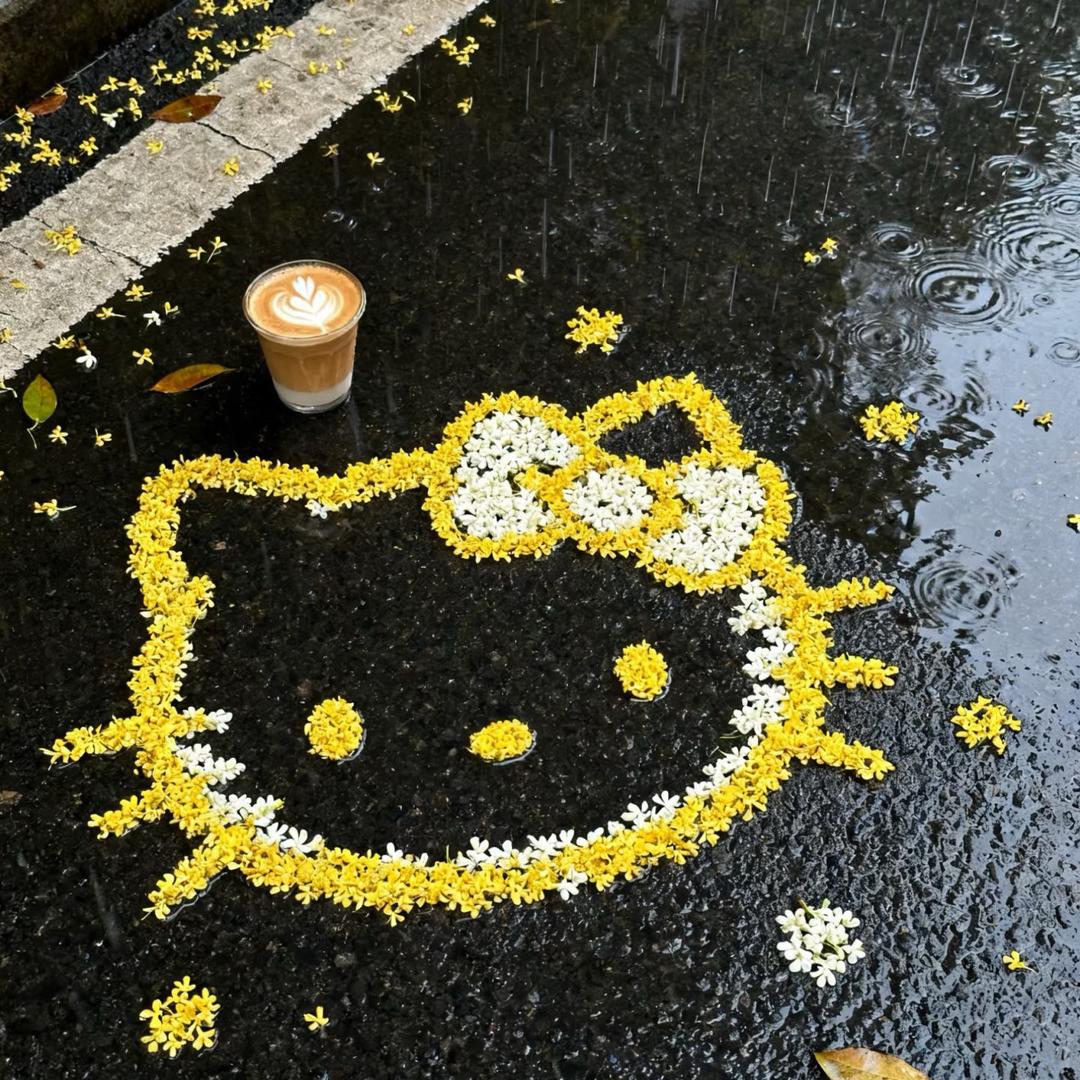 顺