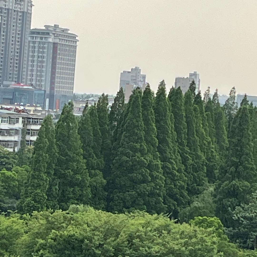 雨后彩虹