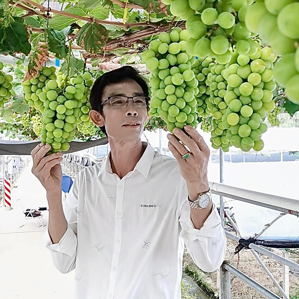 和中盛果树苗木专营店