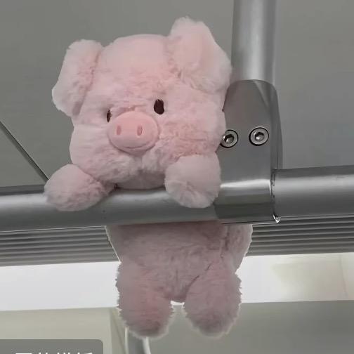美美十七