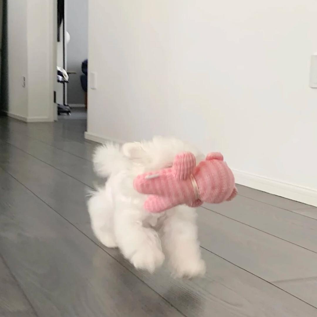 7897777