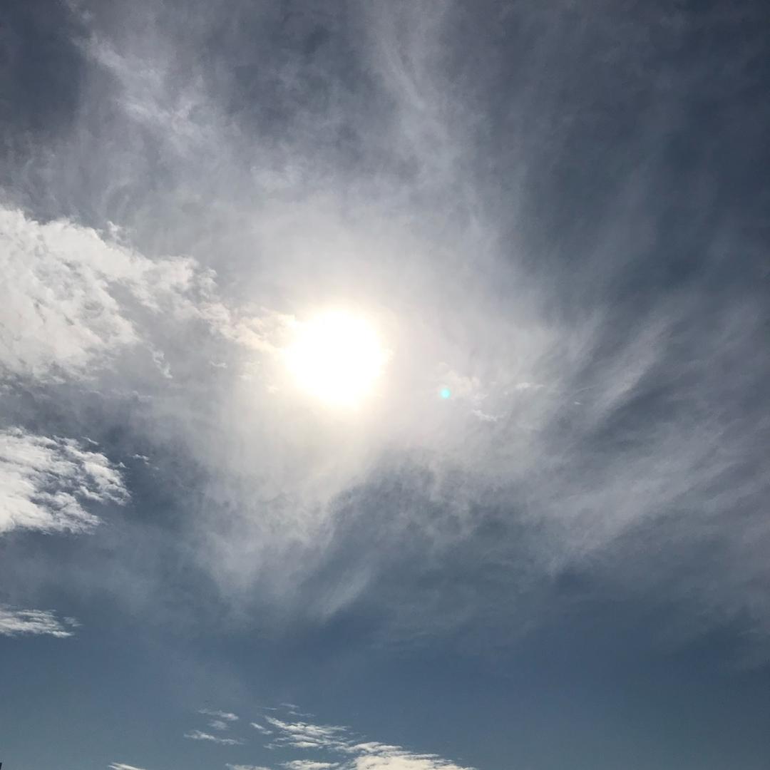 夏日（三角洲行动）