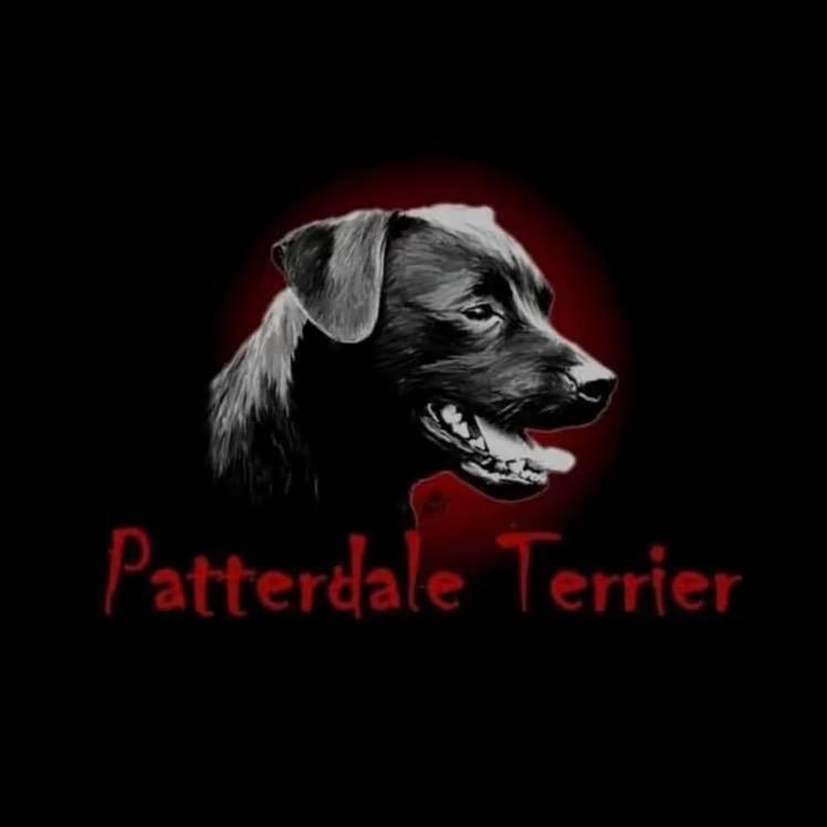 @金虎玩火梗（嚼嚼嚼）