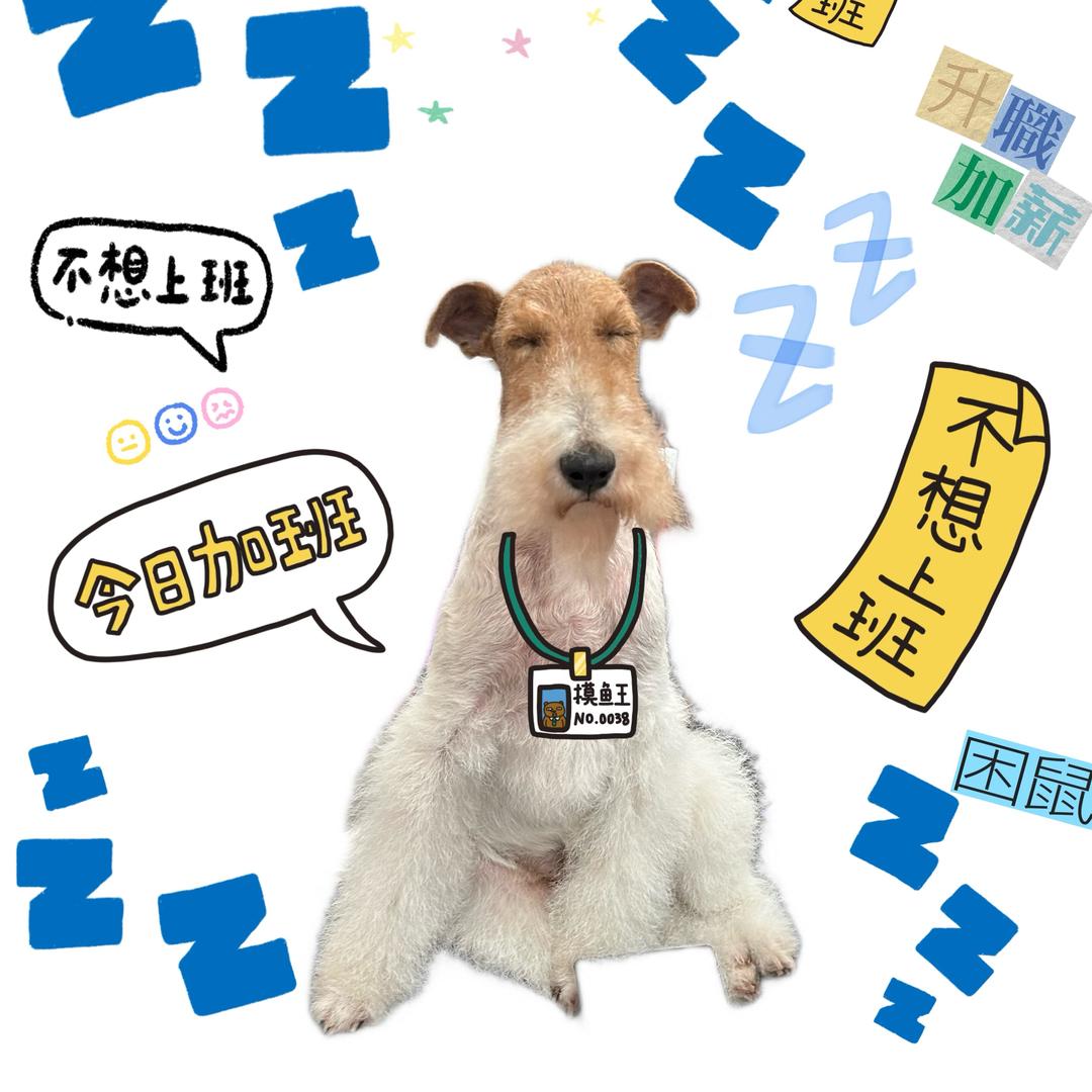 犬界狗仔队的朋友圈（纯种犬代购号）