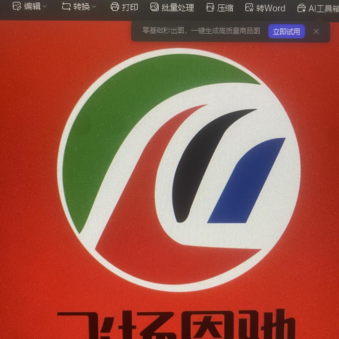飞扬恩驰电车 一白