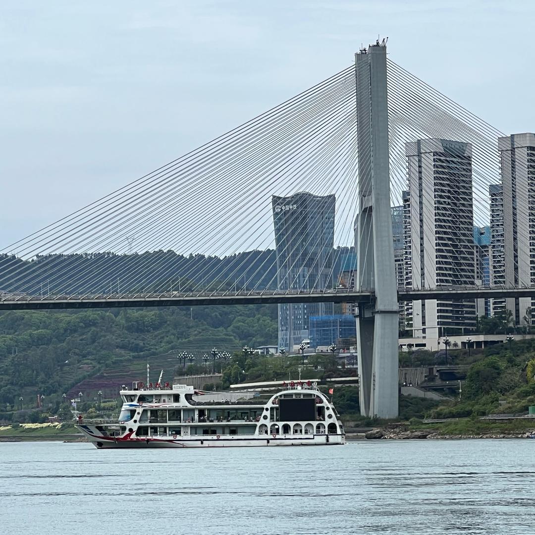 🍀 阿拉灯神丁🧞‍♂️