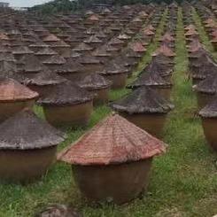 酒城雷哥（酱油哥）