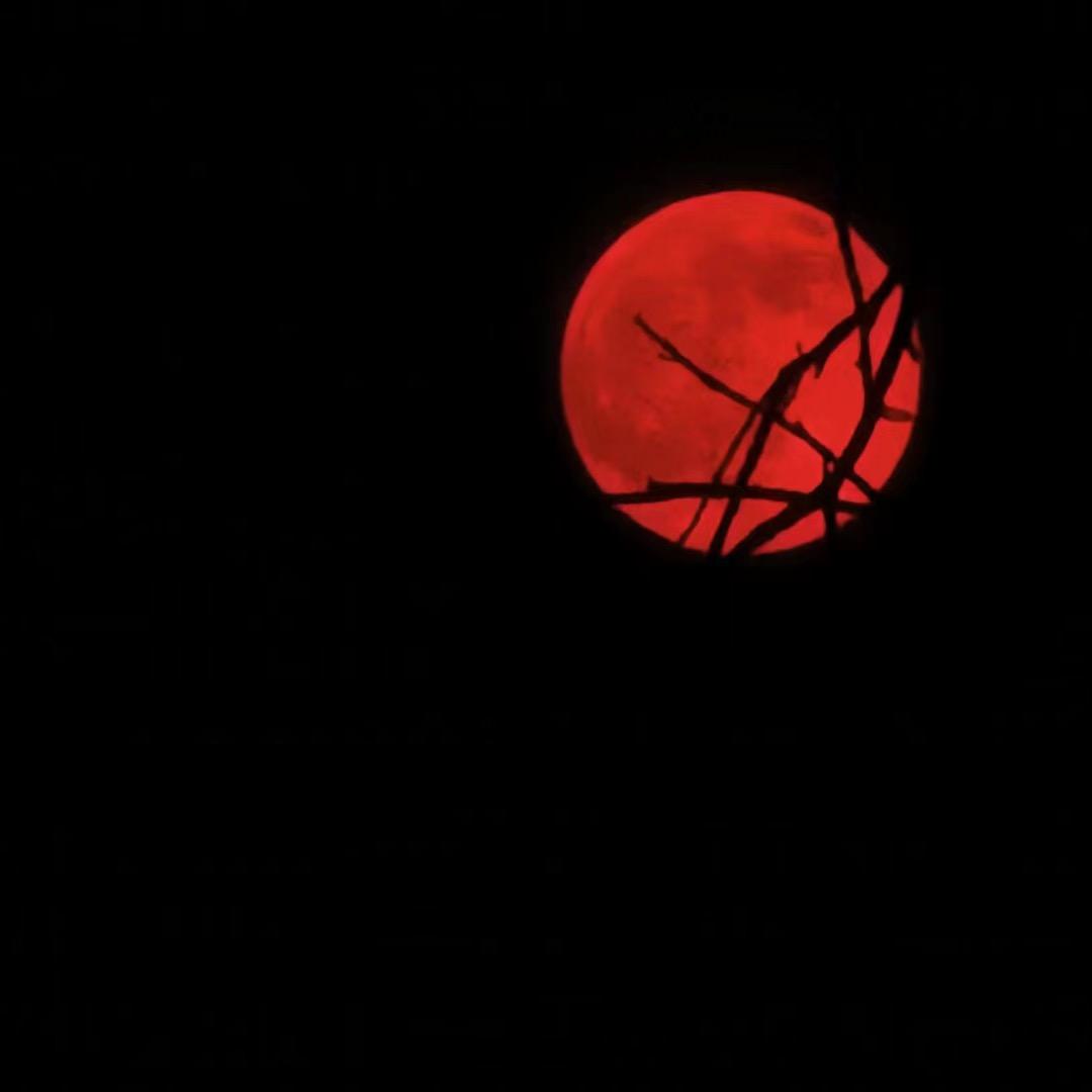 努力备考建（造）师