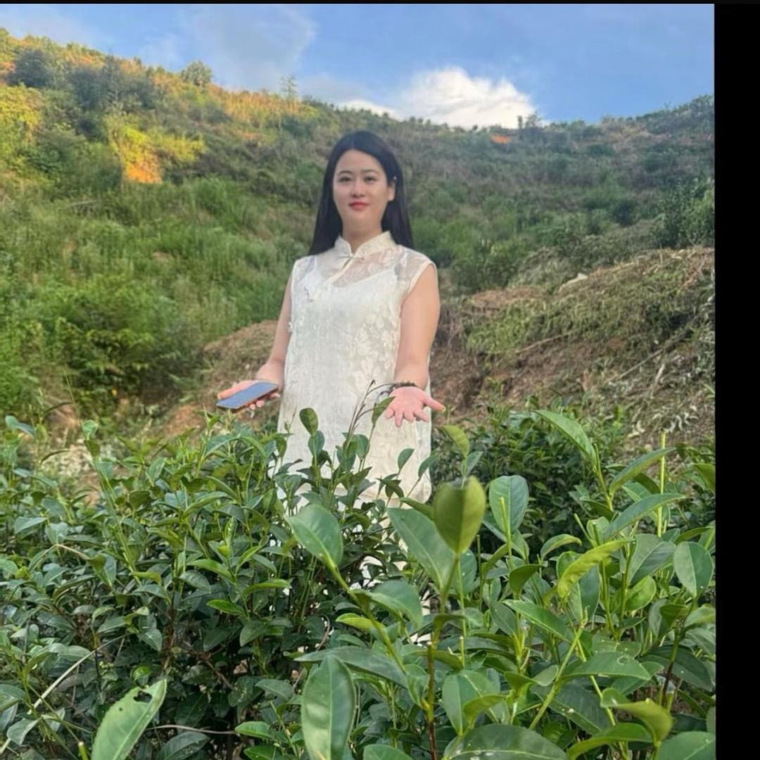小妖精的茶叶店🍵