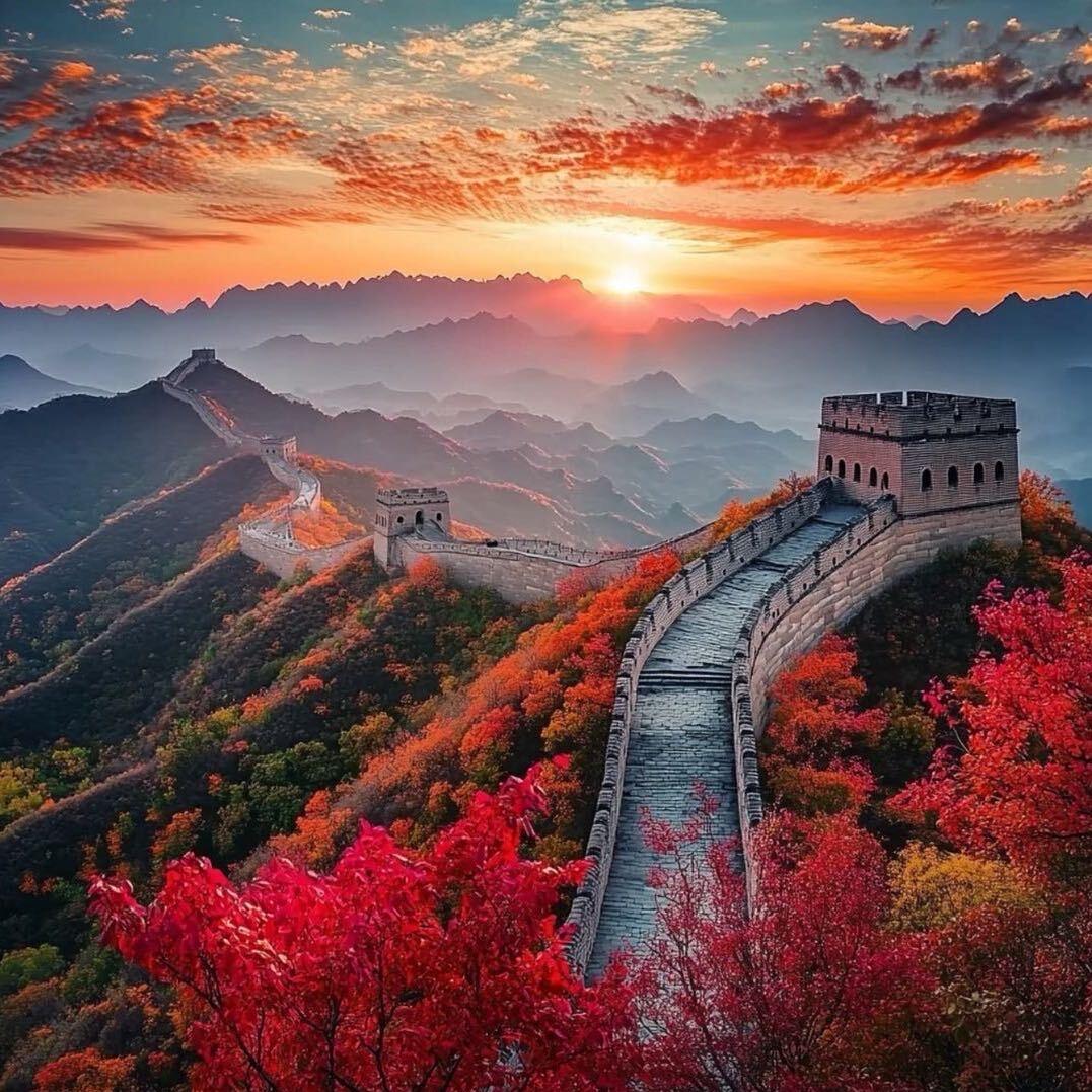 山东叮当国际贸易