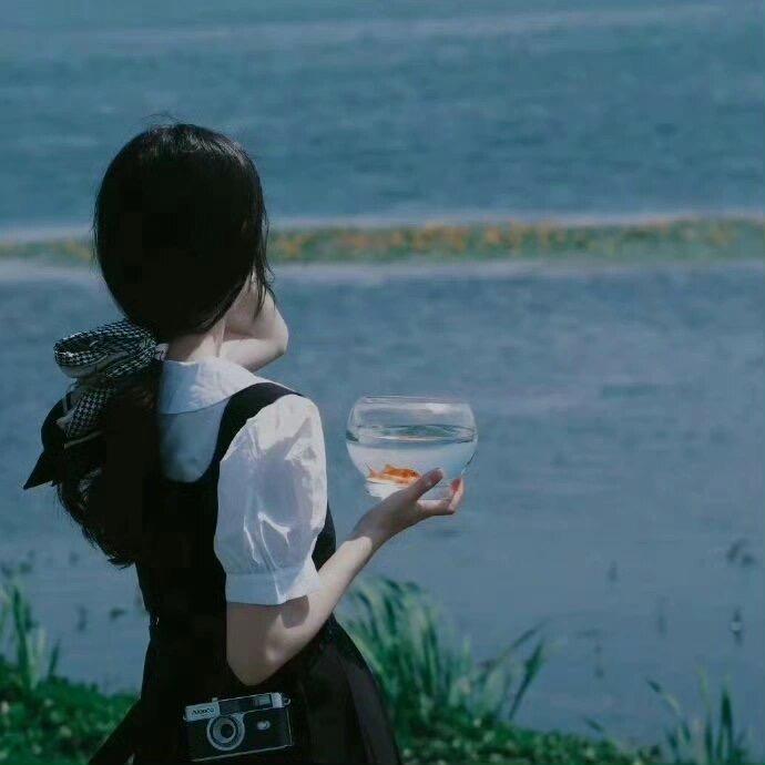 轻舞飞扬