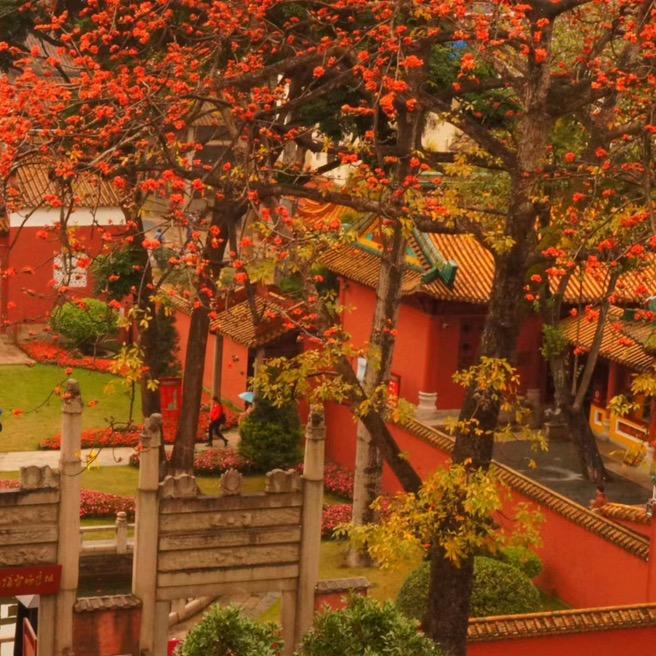 早晚开上梅赛德斯