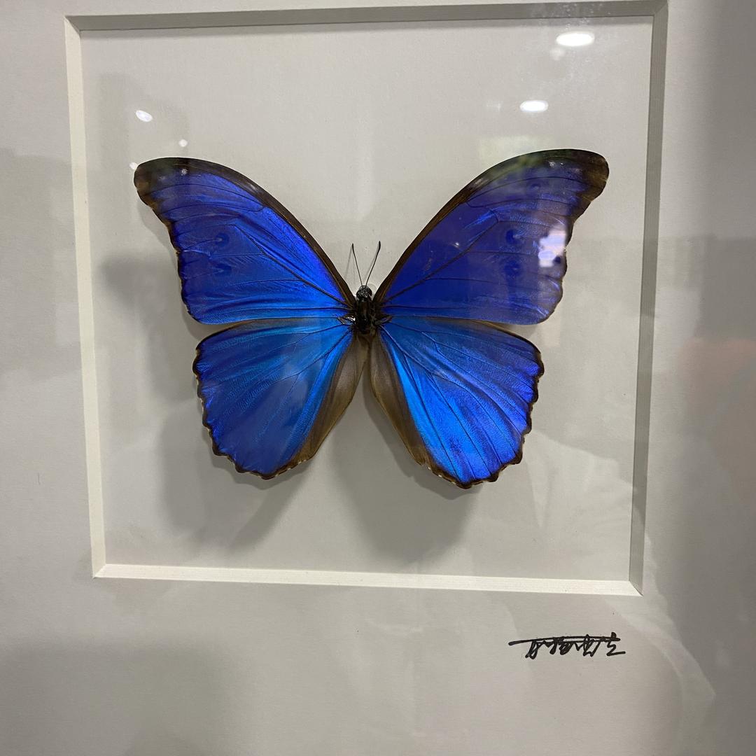 只是我