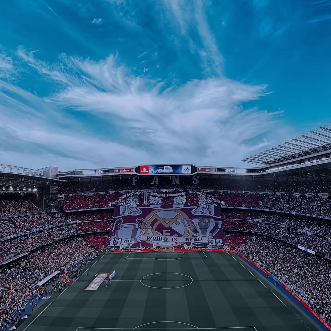 黑熊⚽️