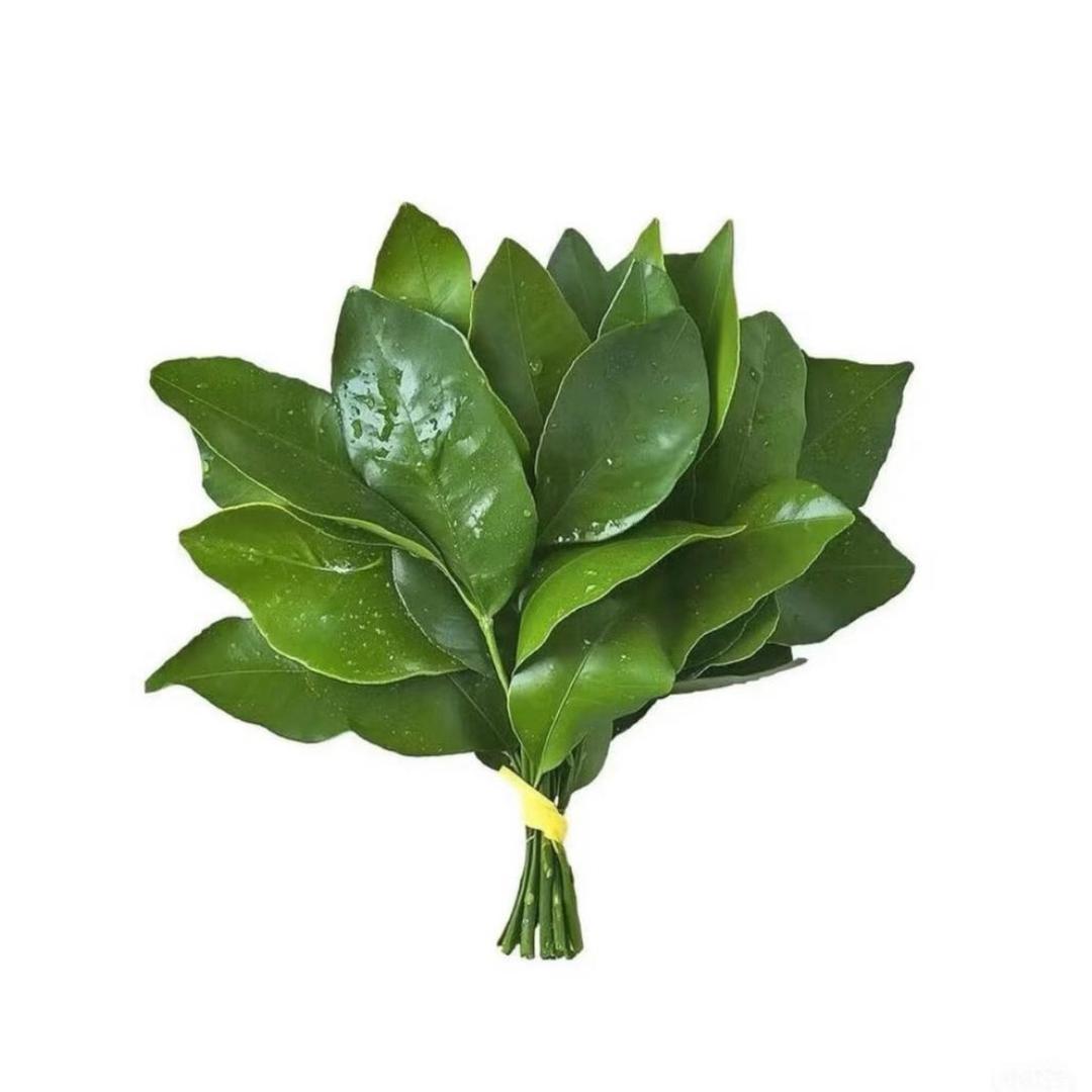 跪着求自己别吃了