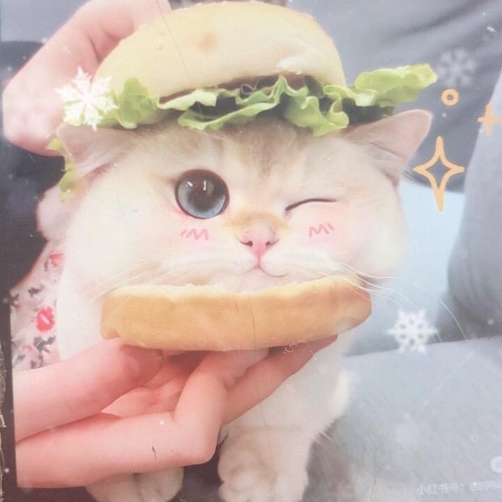 忘蜜小跟班