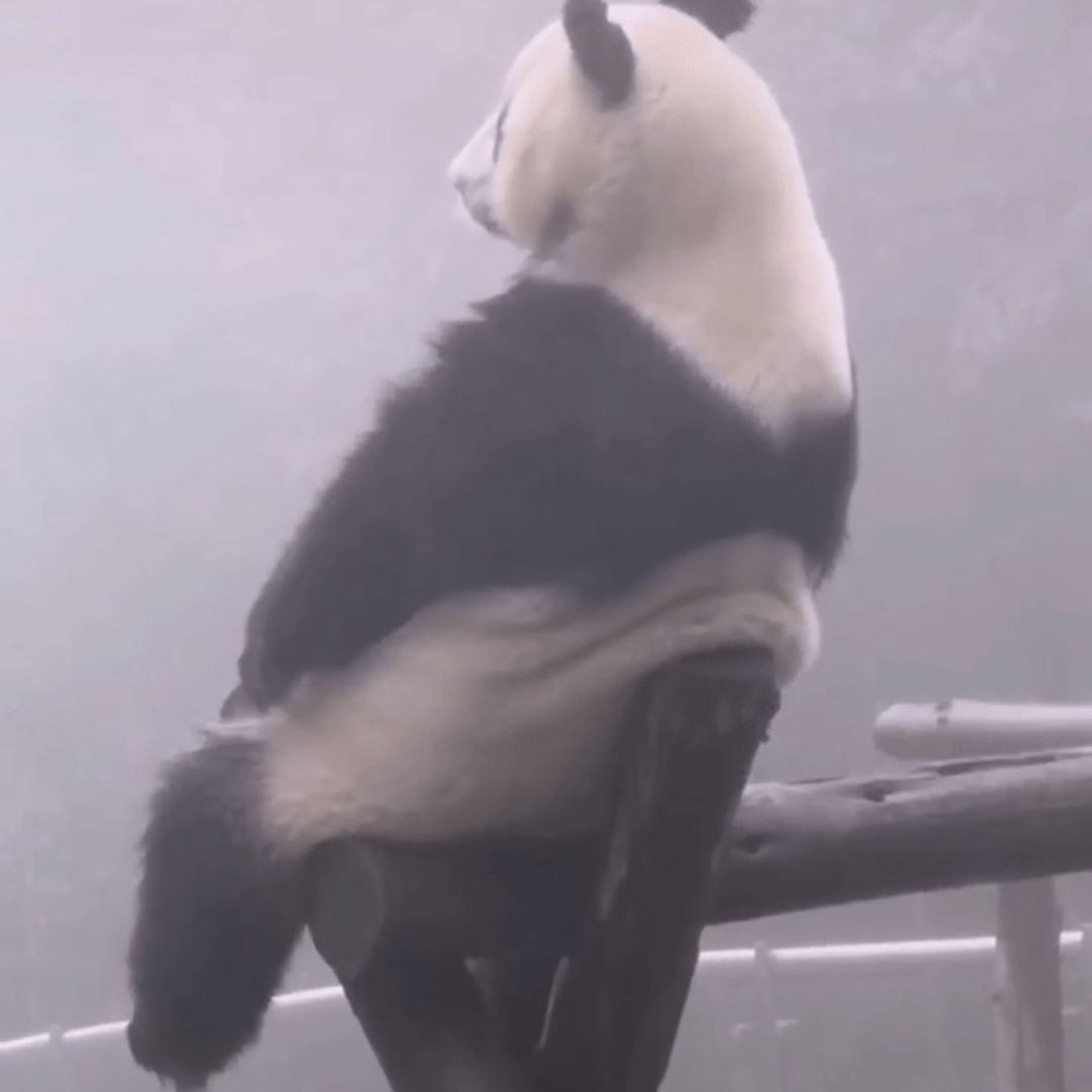 哈尔滨房产