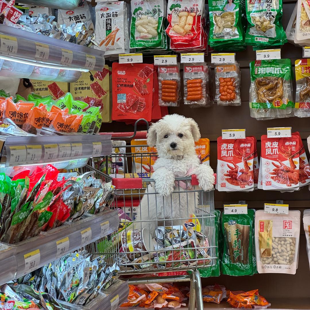 火火·哒宝宝