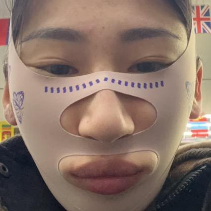 碎嘴子蝶