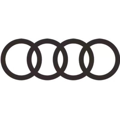 一汽奥迪新能源-常德华奥