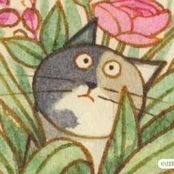 肠粉侠