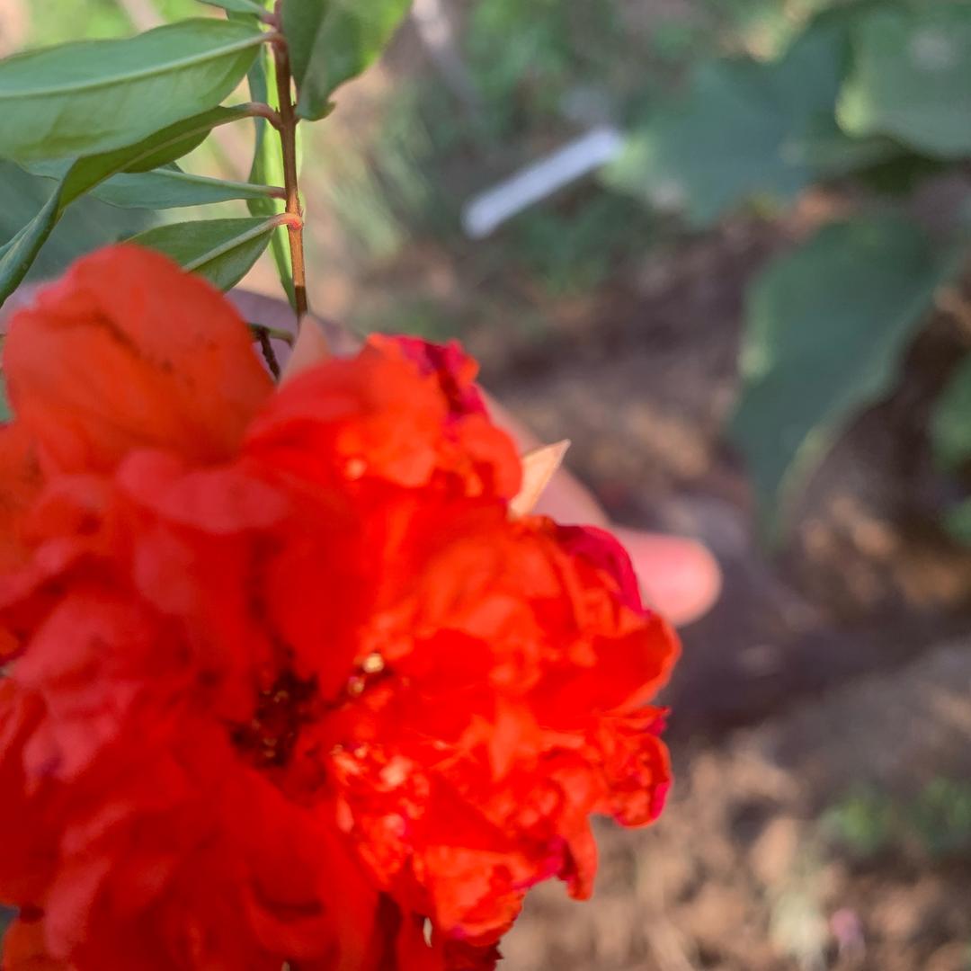 开启元姐姐🧍♀️和姥姥的快乐时光