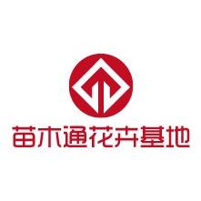 苗木通花卉基地