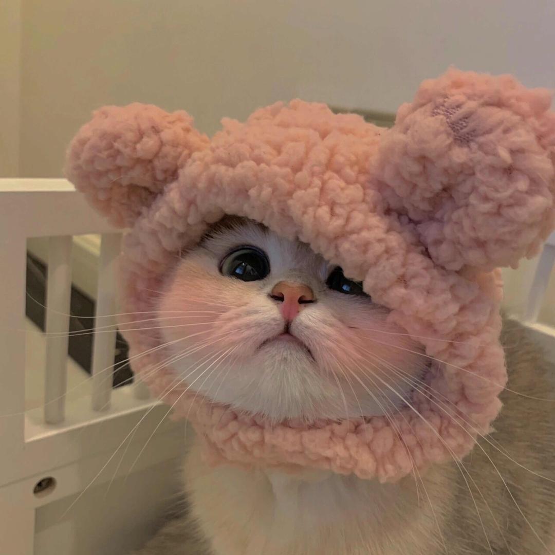 小咪
