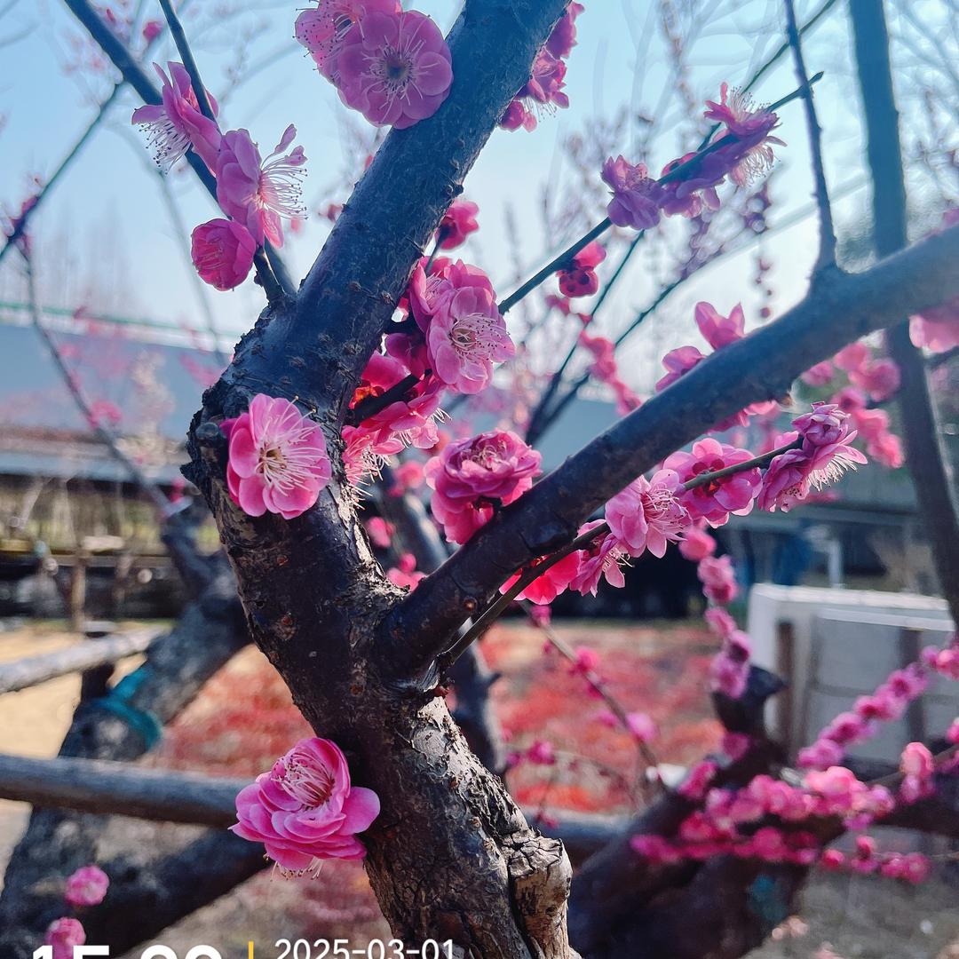 一直快乐着