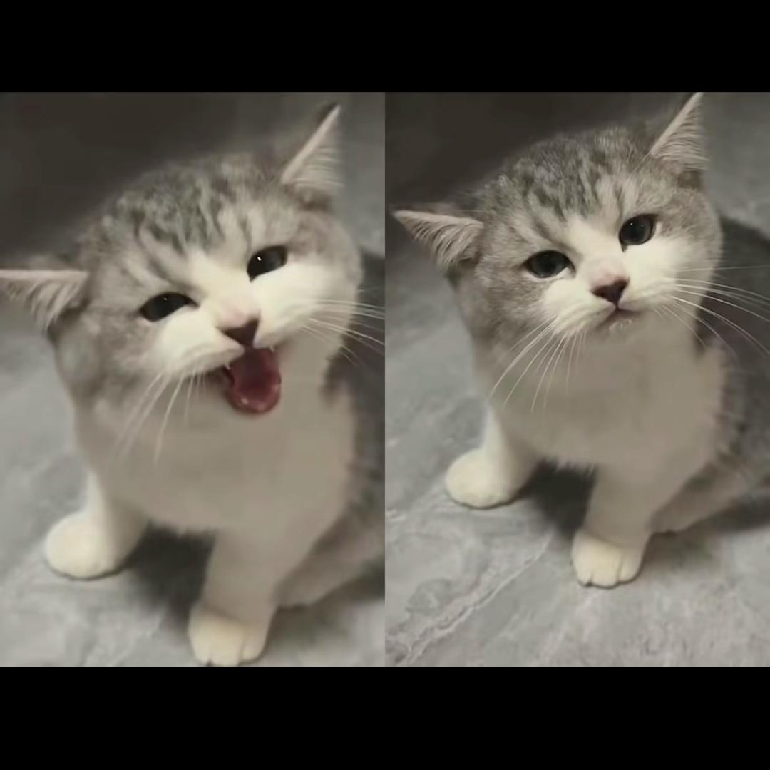 原来是小老三呀