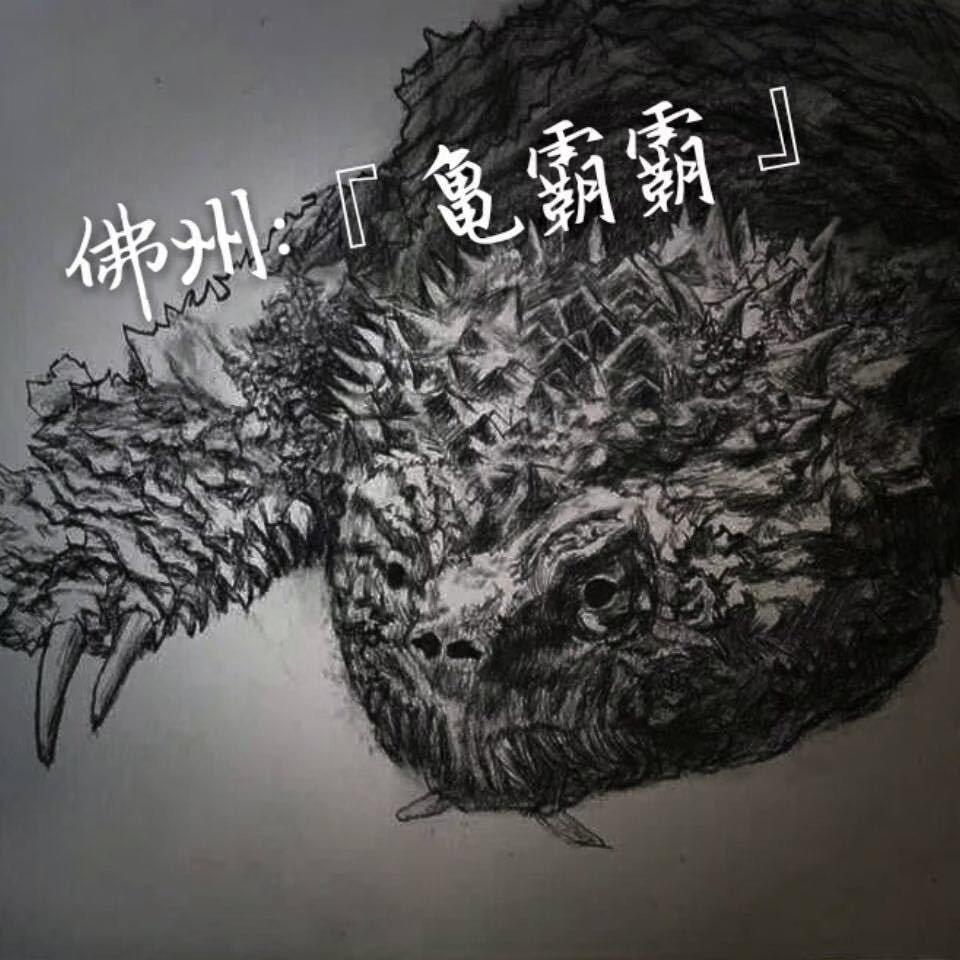 龟霸霸佛鳄大佛杂养殖场