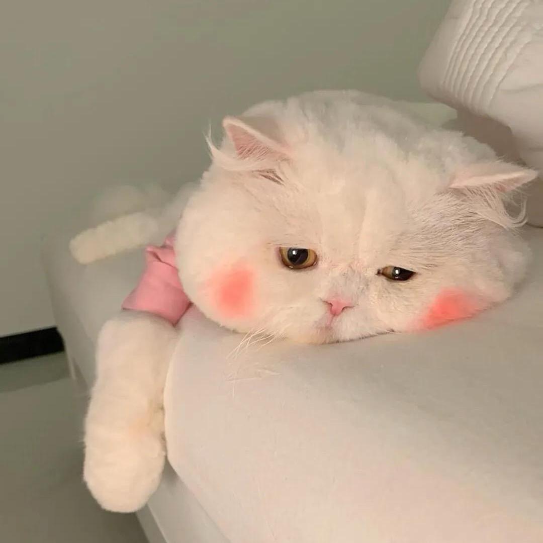小周周吖