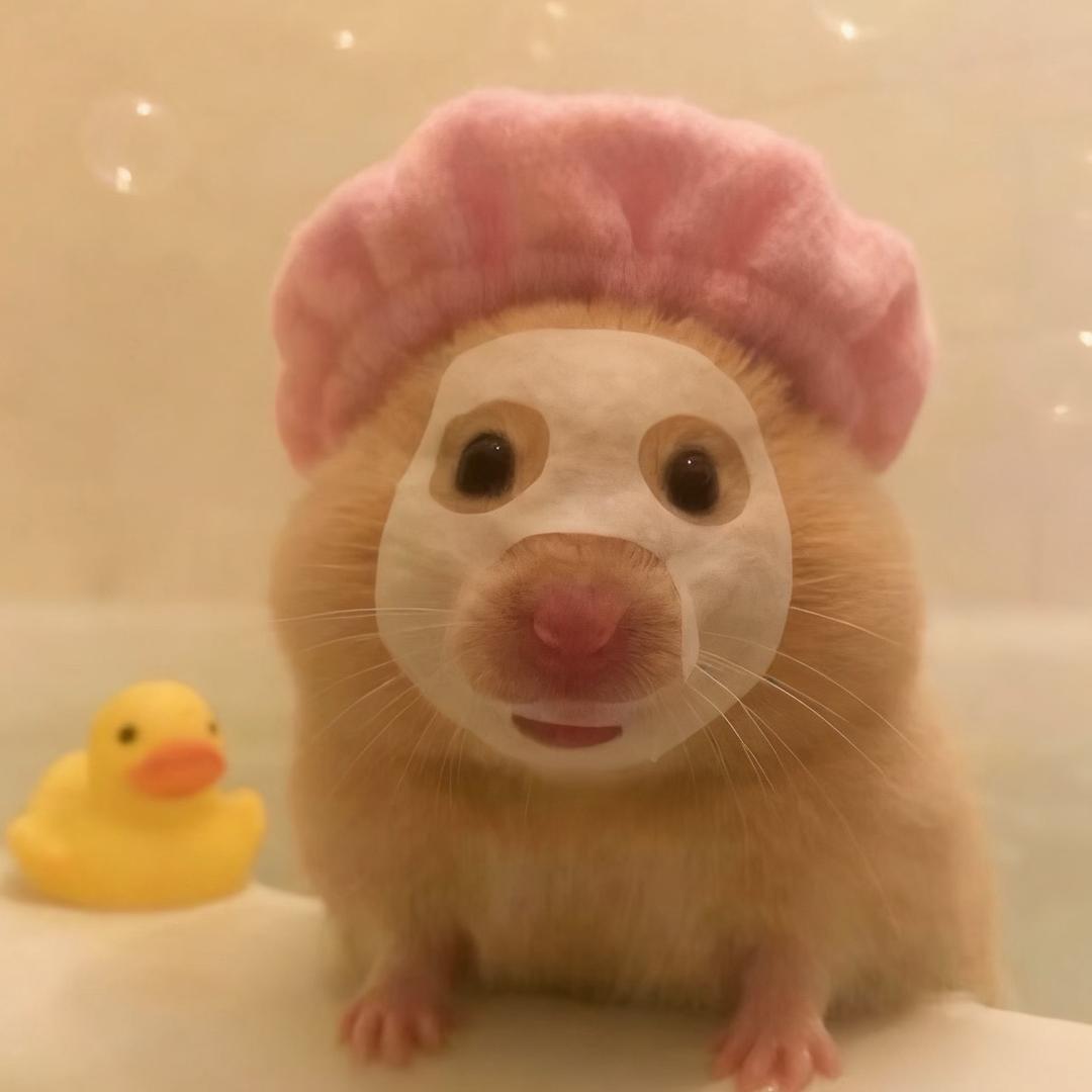 恶霸小笼包（内向到不敢工作版