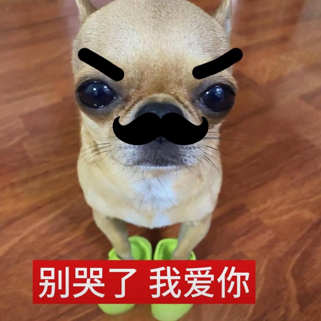 Xin0613