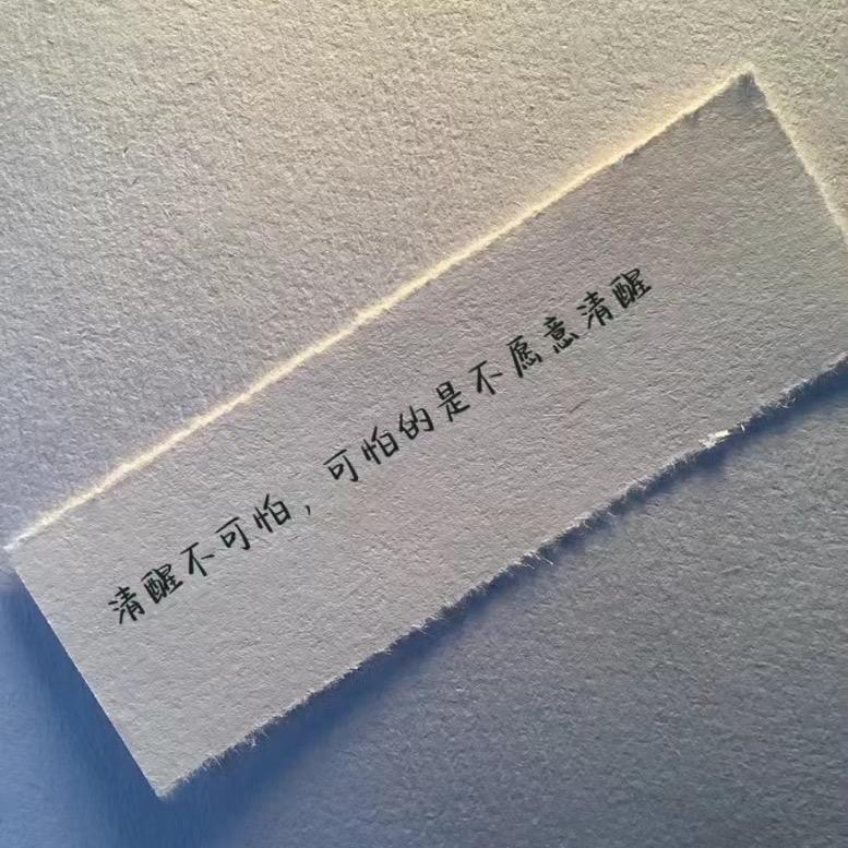 风与路人🍃