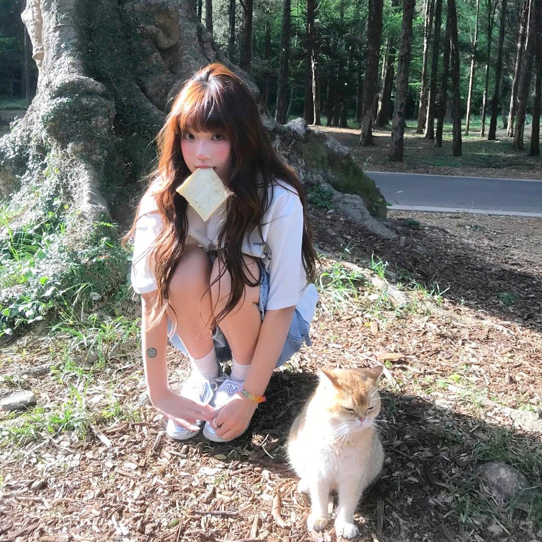 愣着干嘛偷猪