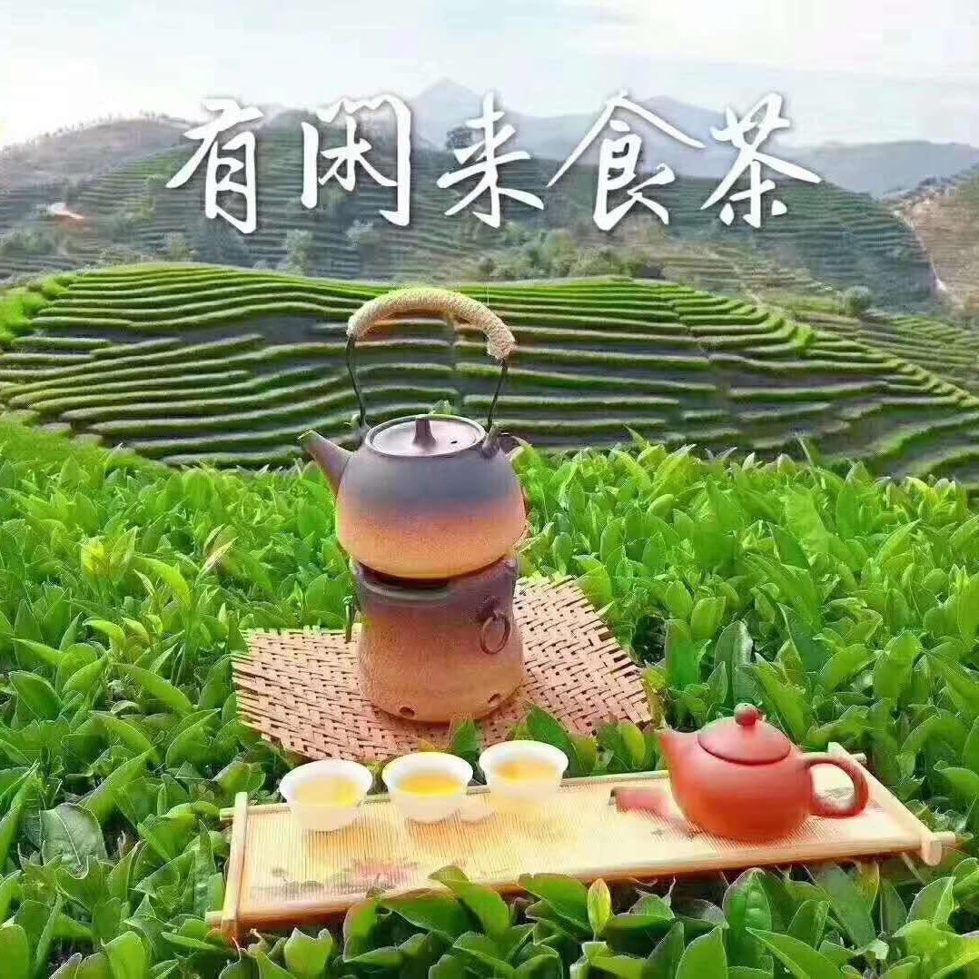 渠哥茶行